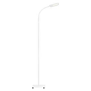 Briloner Podna LED svjetiljka (Visina: 128 cm, Bijele boje)