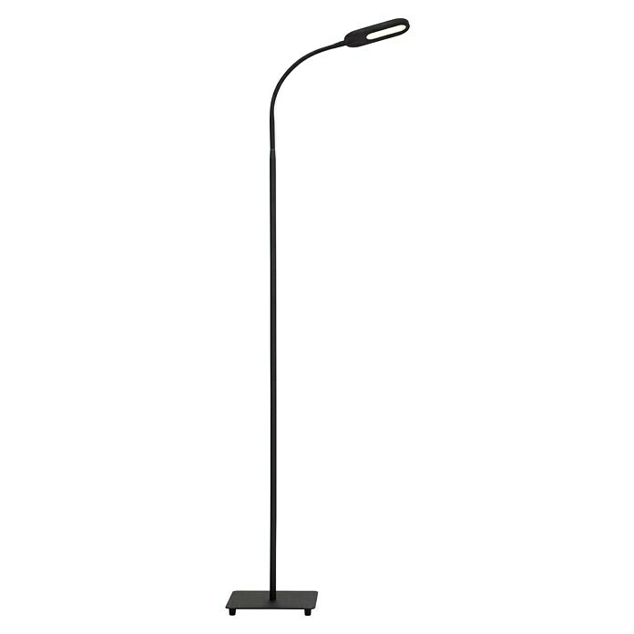Trio Leuchten LED-Stehleuchte Filigran (6 W, Höhe: 162 cm, Nickel-matt,  Warmweiß) | BAUHAUS