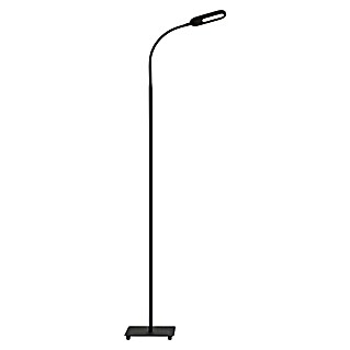 Briloner LED-Stehleuchte (Höhe: 128 cm, Schwarz)