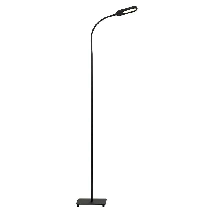 Briloner LED-StehleuchteHöhe: 128 cm, Schwarz Right Side View