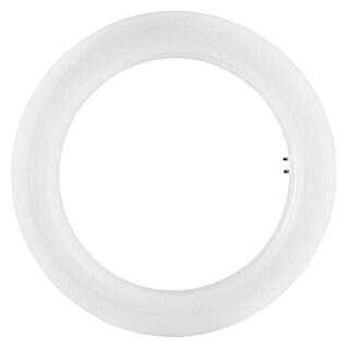 Osram Tubo fluorescente T9 (T9, Blanco neutro, 22 W, Largo: 205 mm)