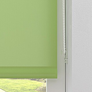 Expo Ambiente Rolo (Š x V: 120 x 150 cm, Zelene boje, Uni, Propusno za danje svjetlo)