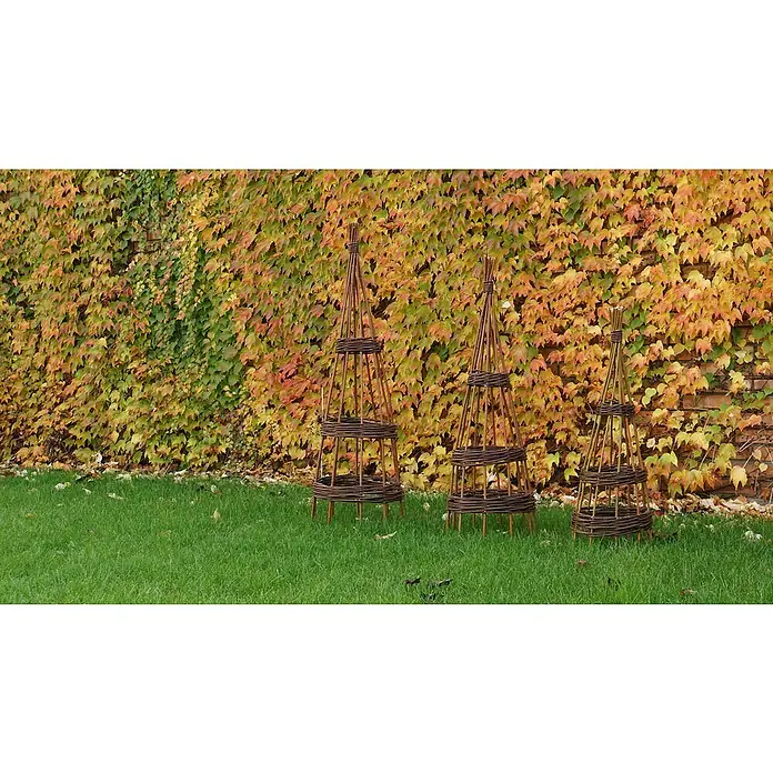 Rankhilfe - Höhe: 110 cm, Weide, Naturbraun - Drei dekorative, handgefertigte Weidenobelisken stehen auf einer grünen Wiese vor einer mit buntem Herbstlaub bewachsenen Mauer.