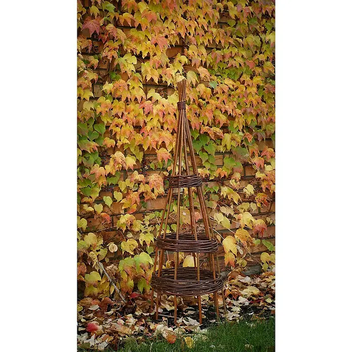Rankhilfe - Höhe: 130 cm, Weide, Naturbraun - Gartenszene mit einem dekorativen Pflanzenstützen aus Weide im Vordergrund, umgeben von herbstlichen Blättern und einer Backsteinmauer.
