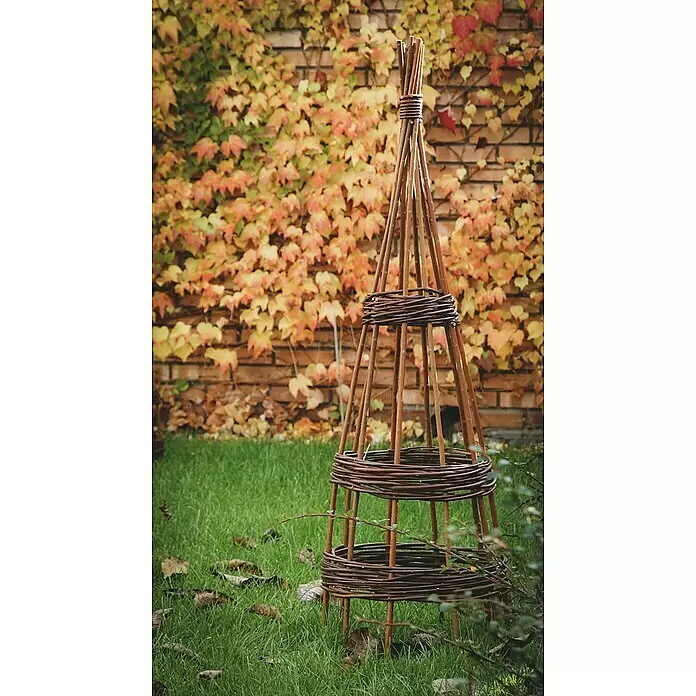 Rankhilfe - Höhe: 170 cm, Weide, Naturbraun - Stimmungsaufnahme