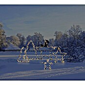 LED-Weihnachtsleuchte Gartenstecker Stern (Eisen, Anzahl LED: 150 Stk., Stern, Höhe: 73 cm)