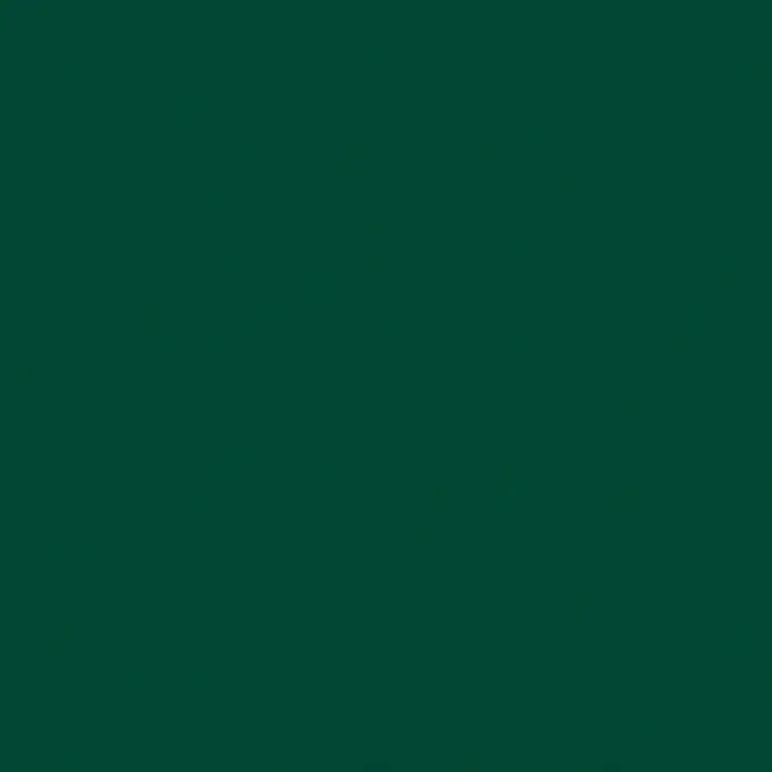 SmartSun Lona para toldo Poliéster - Verde, Ancho: 4 m, Caída: 2,5 m - Papel tapiz verde de color sólido.