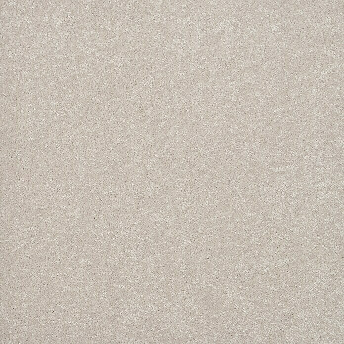 Teppichfliese Aristo (Cream, 500 x 500 mm)