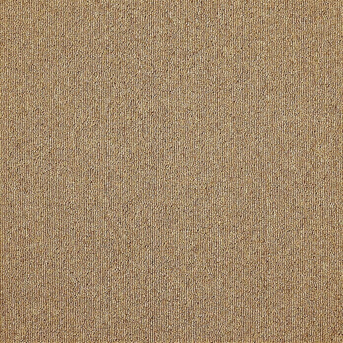 Teppichfliese Diva (B x L: 50 x 50 cm, Schlinge, 100 % Polypropylen, Braun)