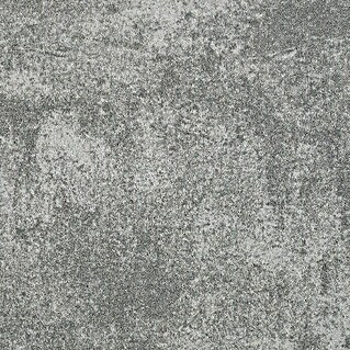 Teppichfliese Graphite (B x L: 50 x 50 cm, Schlinge, 100 % Polyamid, Grau)