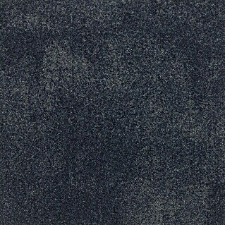 Teppichfliese Graphite (B x L: 50 x 50 cm, Schlinge, 100 % Polyamid, Blau)