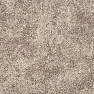 Teppichfliese Graphite (B x L: 50 x 50 cm, Schlinge, 100 % Polyamid, Beige)