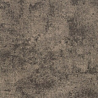 Teppichfliese Graphite (B x L: 50 x 50 cm, Schlinge, 100 % Polyamid, Braun)