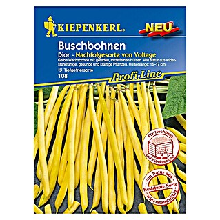 Kiepenkerl Profi-Line Gemüsesamen Buschbohne (Dior, Phaseolus vulgaris, Erntezeit: Juli)