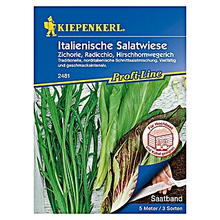 Kiepenkerl Profi-Line Salatsamenmischung Italienische Salatwiese (Verschiedene Sorten, Erntezeit: Juni)