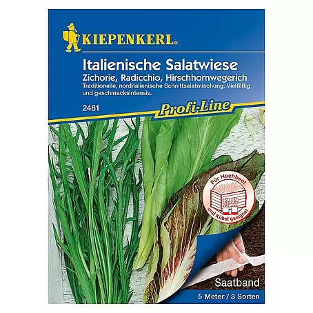 Kiepenkerl Profi-Line Salatsamenmischung Italienische Salatwiese