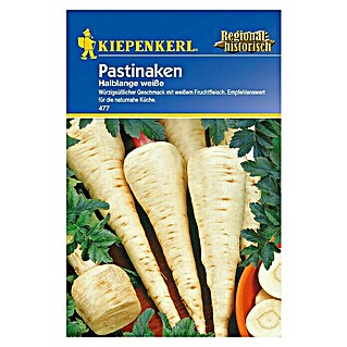 Kiepenkerl Gemüsesamen Pastinake (Pastinaca sativa, Erntezeit: Oktober - Dezember)
