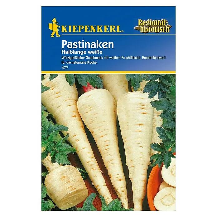 Kiepenkerl Gemüsesamen Pastinake - Pastinaca sativa, Erntezeit: Oktober - Sämerei-Packung mit 'Halblange weiße' Pastinaken. Die Packung zeigt eine Nahaufnahme der Pastinakenwurzeln und des Firmenlogos.
