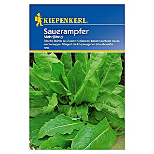Kiepenkerl Gemüsesamen Sauerampfer (Rumex acetosa, Erntezeit: Juni - Oktober)