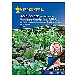 Kiepenkerl Profi-Line Salatsamenmischung Asia-Salate (Verschiedene Sorten, Erntezeit: Mai)