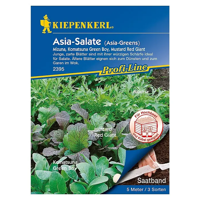 Kiepenkerl Profi-Line Salatsamenmischung Asia-Salate - Verschiedene Sorten, Erntezeit: Mai - Asia-Salate (Asia-Greens) Saatbandmischung mit Mizuna, Komatsuna Green Boy und Mustard Red Giant für frische Salate und Wok-Gerichte.