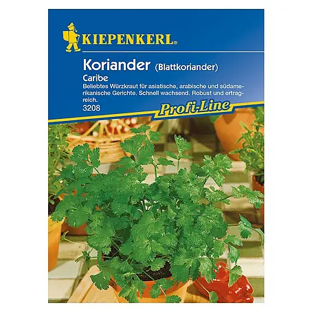 Kiepenkerl Profi-Line Kräutersamen Koriander Caribe
