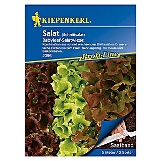 Kiepenkerl Profi-Line Gemüsesamen Schnittsalat (Verschiedene Sorten, Erntezeit: Mai)