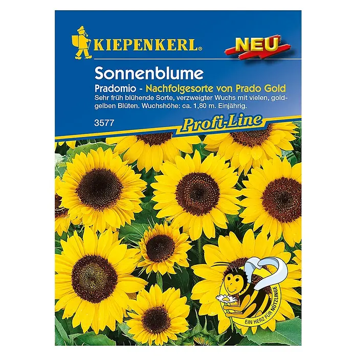 Kiepenkerl Profi-Line Blumensamen Sonnenblume - Helianthus annuus, Pradomio, Blütezeit: Juli - Samentüte Sonnenblume "Pradomio" von Kiepenkerl. Die Sorte ist frühblühend und reich an goldgelben Blüten. Wuchshöhe ca. 1,80 m.