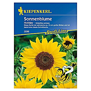 Kiepenkerl Profi-Line Blumensamen Sonnenblume (Helianthus annuus, Holiday, Blütezeit: Juli)