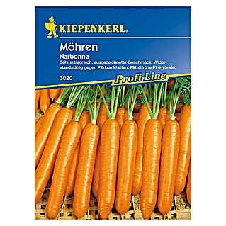 Kiepenkerl Profi-Line Gemüsesamen Möhre (Narbonne, Daucus carota ssp. sativus, Erntezeit: August)