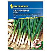 Kiepenkerl Profi-Line Gemüsesamen Lauchzwiebel Kaigaro (Allium fistulosum, Erntezeit: Mai) | BAUHAUS