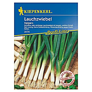 Kiepenkerl Profi-Line Gemüsesamen Lauchzwiebel Kaigaro (Allium fistulosum, Erntezeit: Mai)