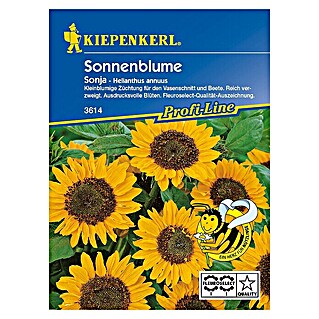 Kiepenkerl Profi-Line Blumensamen Sonnenblume (Helianthus annuus, Sonja, Blütezeit: August)