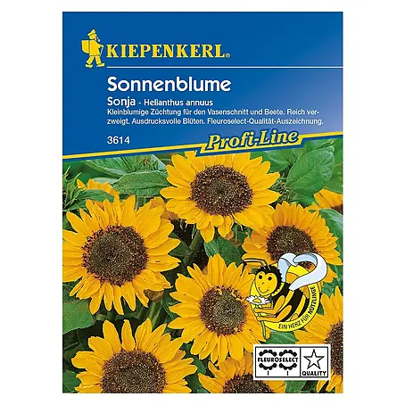 Kiepenkerl Profi-Line Blumensamen Sonnenblume