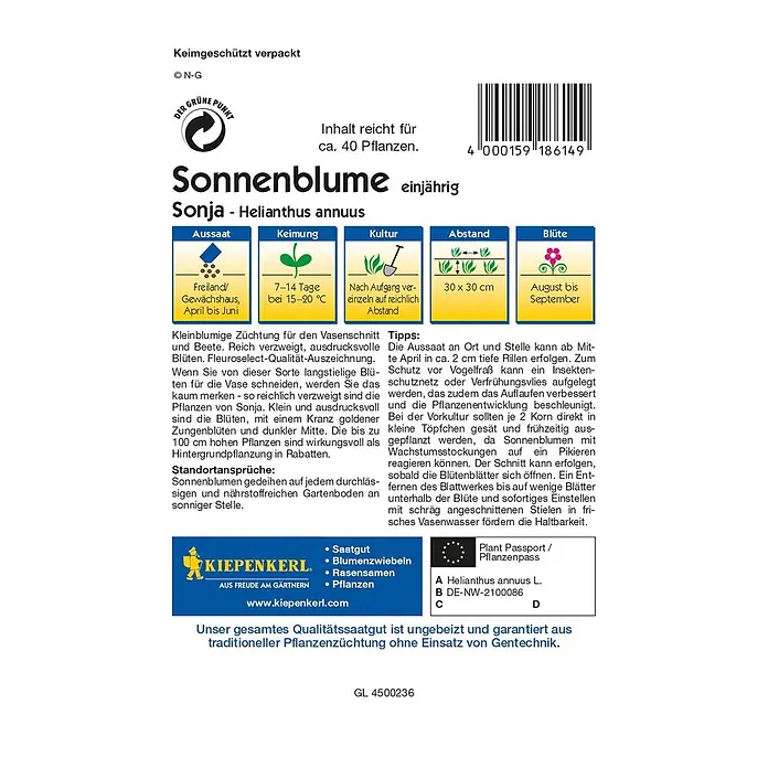 Kiepenkerl Profi-Line Blumensamen Sonnenblume - Helianthus annuus, Sonja, Blütezeit: August - Samentüte Sonnenblume 'Sonja': Einjährige Sorte, ideal für Vasenschnitt und Beete. Reich verzweigt mit ausdrucksvollen Blüten.