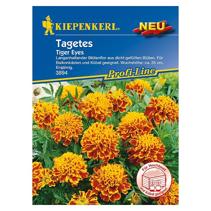 Kiepenkerl Profi-Line Blumensamen Studentenblume (Tagetes patula, Tiger Eyes, Blütezeit: Juni) | BAUHAUS