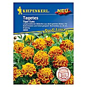 Kiepenkerl Profi-Line Blumensamen Studentenblume (Tagetes patula, Tiger Eyes, Blütezeit: Juni) | BAUHAUS