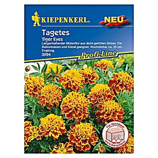 Kiepenkerl Profi-Line Blumensamen Studentenblume (Tagetes patula, Tiger Eyes, Blütezeit: Juni)
