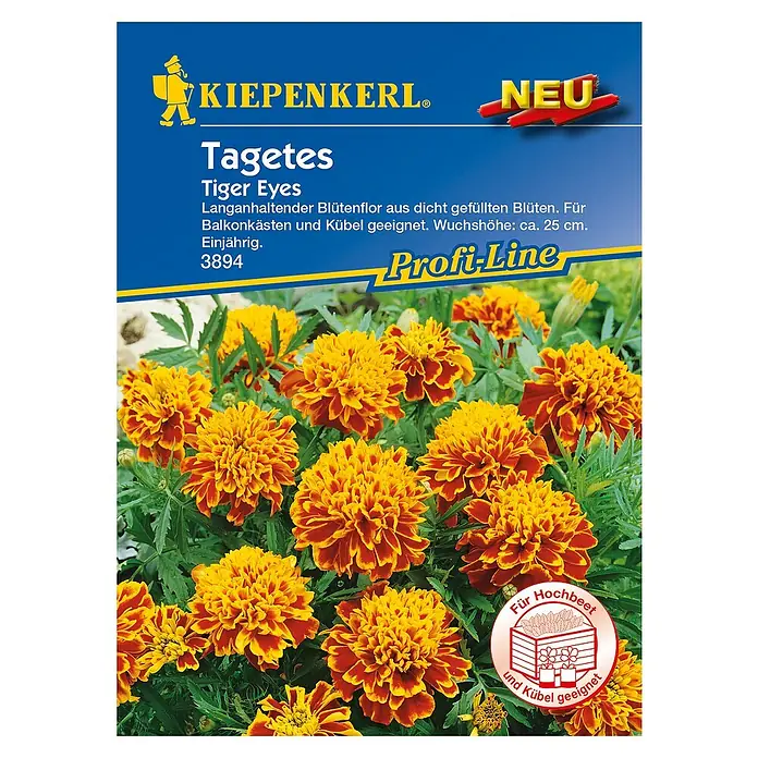 Kiepenkerl Profi-Line Blumensamen Studentenblume - Tagetes patula, Tiger Eyes, Blütezeit: Juni - Produktbild von Kiepenkerl Tagetes Tiger Eyes Samen, ideal für Balkonkästen und Kübel.