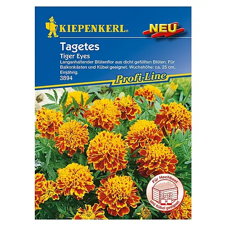 Kiepenkerl Profi-Line Blumensamen Studentenblume