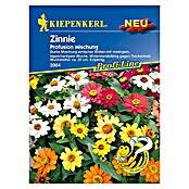 Kiepenkerl Profi-Line Blumensamen Zinnie (Zinnia elegans, Profusion) | BAUHAUS