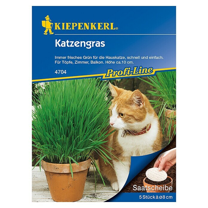 Kiepenkerl Profi-Line Saatgut Katzengras SaatscheibeVerschiedene Sorten Top View