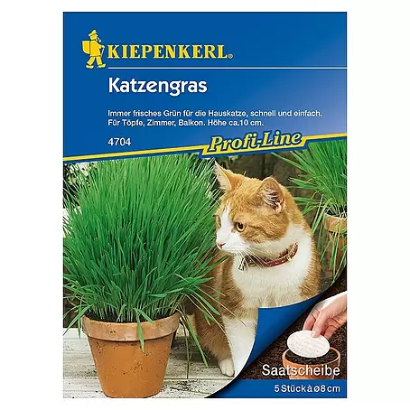 Kiepenkerl Profi-Line Saatgut Katzengras Saatscheibe