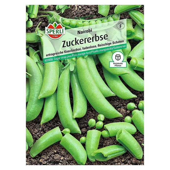 Sperli Gemüsesamen Zuckererbse Nairobi - Pisum sativum, Erntezeit: Juni - Zuckererbse 'Nairobi' Samenpackung von Sperli. Knackige Zuckererbsen für den eigenen Garten. Resistent und ertragreich.