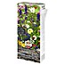 Bloemzadenmix Thuis schat 