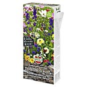 Bloemzadenmix Thuis schat (Verschillende soorten, Verschillende kleuren, 30 m²) | BAUHAUS