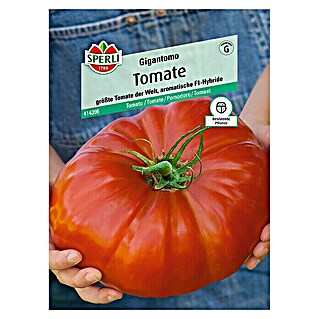 Sperli Gemüsesamen Tomate (Gigantomo, Solanum lycopersicum, Erntezeit: Juli)