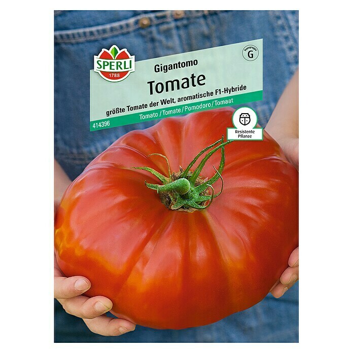 Sperli Gemüsesamen TomateGigantomo, Solanum lycopersicum, Erntezeit: Juli - Oktober Top View