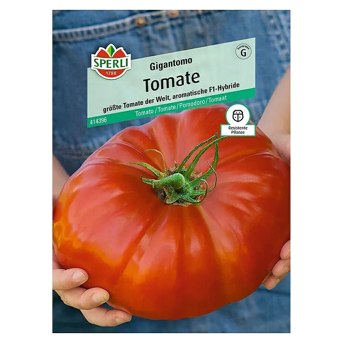 Sperli Gemüsesamen Tomate - Gigantomo, Solanum lycopersicum, Erntezeit: Juli - Samenpackung der Tomatensorte Gigantomo von Sperli, eine der größten Tomaten der Welt, ideal für aromatische Gerichte.