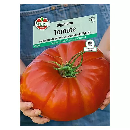 Sperli  Gemüsesamen Tomate